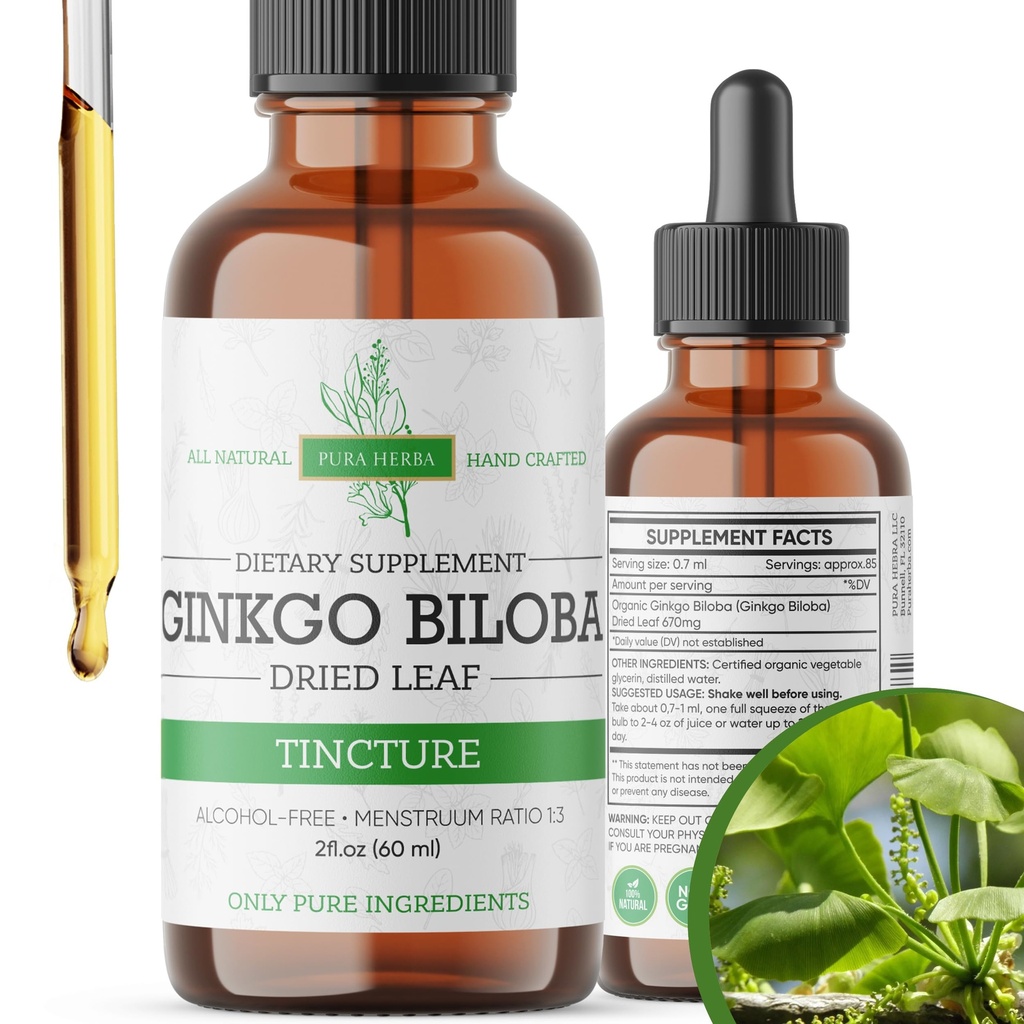 Ginkgo Biloba Extracto líquido 2 Fl Oz, Suplementos para Función cerebral y soporte de memoria, Alcohol Gratis, Vegan - 2 Fl Oz
