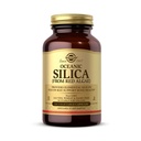 Solgar Silica Oceánica de Algas Rojas 25 mg, 100 cápsulas vegetales - Excelente fuente de Calcio, soporta la salud ósea - No GMO, Vegan, Gluten Gratis, Dairy Free, Kosher - 50 Serviciones