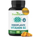 ForestLeaf Vitamina B2 Riboflavin 400mg - Energy, Skin & Cellular Health Supplement - Nervous System Support - Vitamina B 2 VIT B - No GMO &amp; Gluten Gratis - B2 Vitamina 400mg Vegetable Capsules, 90 Conde