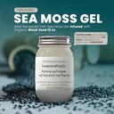 Ashwagandha Mango Sea Moss Gel Organic Fresh Fruit Infused Wild Harvested Irish Sea Moss Gel ← Immune and Digestive Support ← Vitamin Mineral Antioxidant Supplements  (16 oz. Ashwagandha Mango)