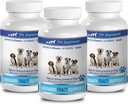 perrito de alivio de la vejiga del riñón - DOG URINARY TRACT SUPPORT - NATURAL CRANBERRY SOLUTION - BLADDER HEALTH - VET RECOMENDADO - suplemento de arándanos del perro en polvo - 3 Botella (270 Treats)