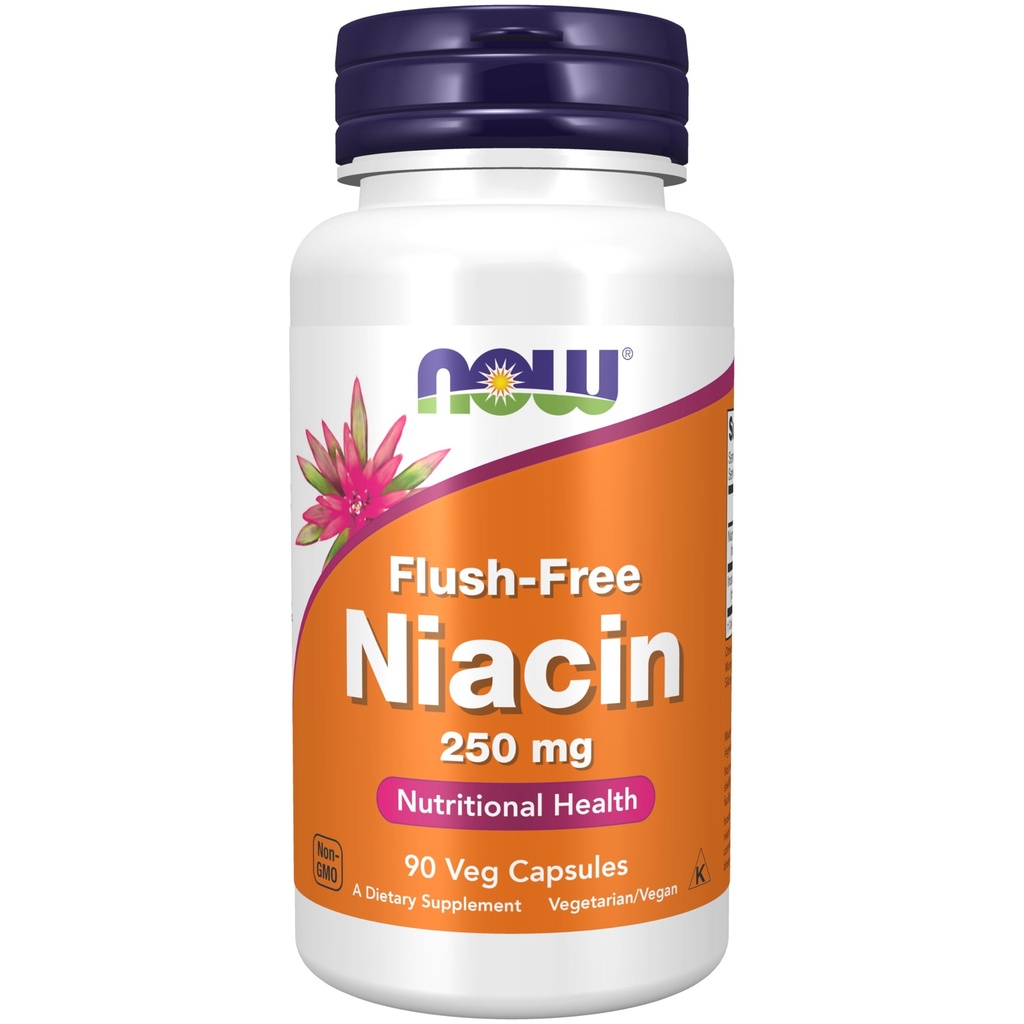AHORA Suplementos de alimentos, Niacina (Vitamin B-3) 250 mg, Influenza, Salud Nutricional, 90 cápsulas de verduras