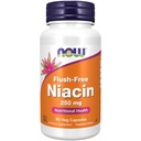 AHORA Suplementos de alimentos, Niacina (Vitamin B-3) 250 mg, Influenza, Salud Nutricional, 90 cápsulas de verduras