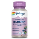 SOLARAY Bilberry Berry Extracto 60 mg Por cápsula, potente antioxidante, potencia garantizada potencia para visión saludable y circulación Soporte 120 VegCaps