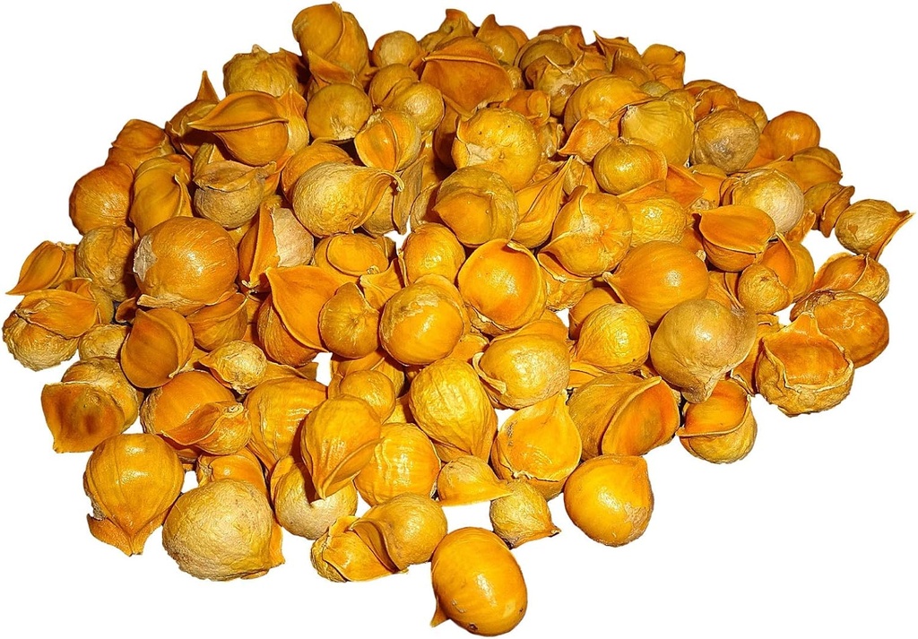 Ajo japonés//AJO Japones (100% Natural!) Diferentes Pesos: (1 Lb, 5 Lbs y 10 Lbs) (5 Lbs)