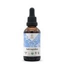 Astragalus USDA Organic Alcohol-Free Extract ← Suplemento dietético, High-Potency Tincture ← Natural Certified Organic Astragalus (Astragalus membranaceus) Dried Root (2 oz)