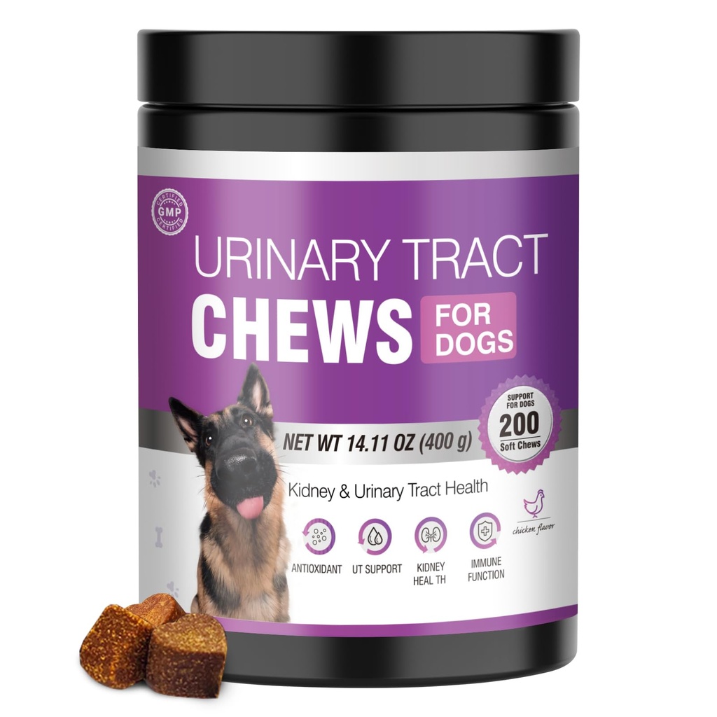 Tratamiento de la UTI de perros Suplemento de arándano para perros 200 Chews Urinary Tract Medicine Pills Control de vejiga Pills Apoyo para el riñón Arándanos Extraer bits Puppy UTI Infección Treats Incontinence Remedy for Dogs