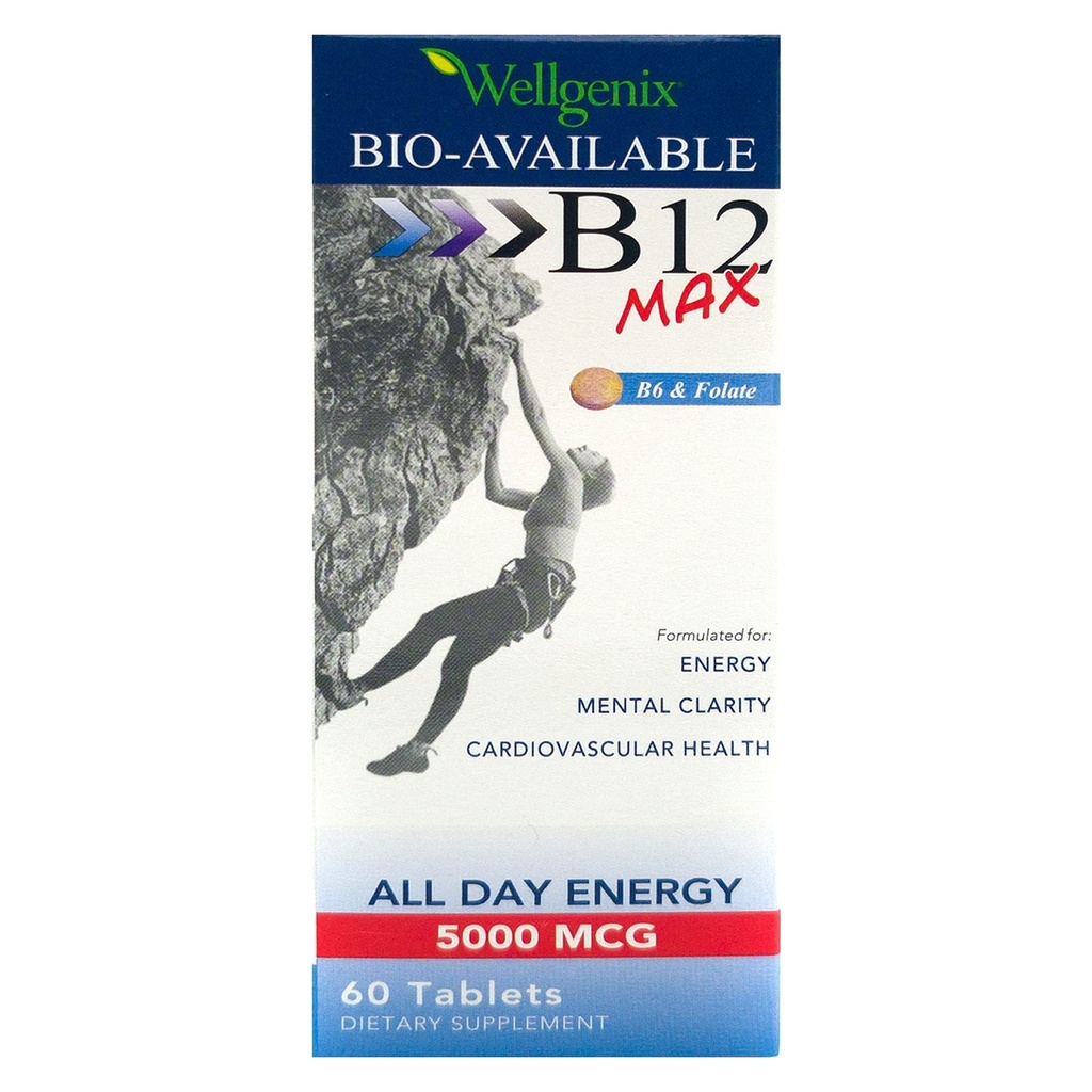 Wellgenix Bio-Available Sublingual B12 B6 Folate Vitamina Formulada para alta absorción - Suplemento Multivitamínico Nutricional (60 ct) 1 Pack