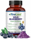 FineLand Wild Blueberry 10:1 Extracto, 6.000 mg Strength, 120 cápsulas Vegan, Rich in Flavonoids &amp; Anthocyanins, Antioxidant Support for Brain & Heart Health, 4-Month Supply, Non-GMO Made in USA