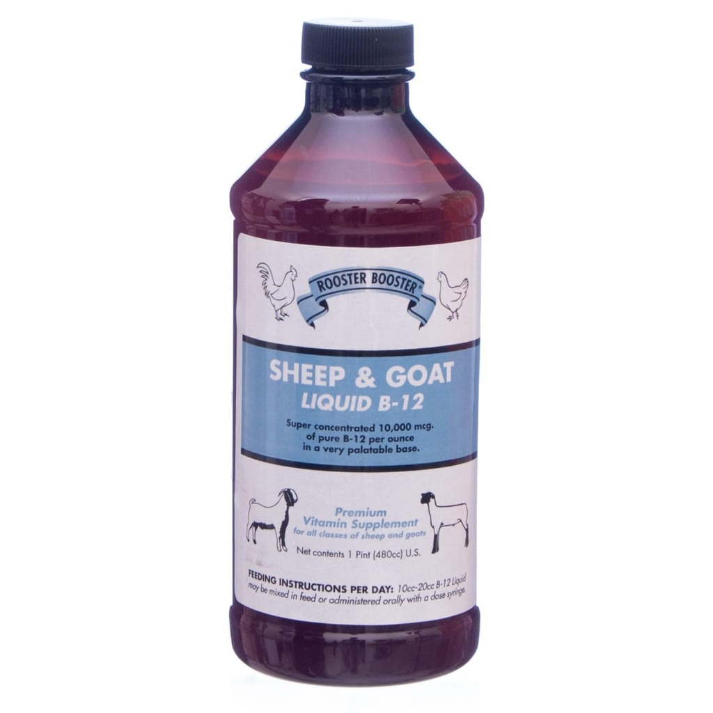 Booster Booster B-12 Ovejas y Goat Liquid, 16 onzas