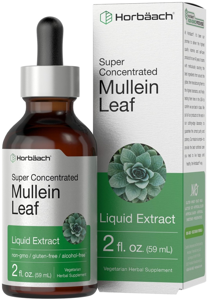 Horbäach Mullein Leaf Extract Drops TENIDO 2 fl oz TENIDO Alcohol Free Liquid Tincture ANTE Vegetarian, Non-GMO &amp; Gluten Free Herbal Supplement