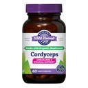 Cordyceps de cosecha silvestre de Oregon Mushroom orgánico Herbal Suplemento (Freeze-Dried)