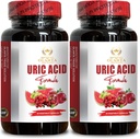 URIC Acid - Soporte Nivel de ácido úrico saludable, Extracto de cereza Tart Capsules para Hombres y Mujeres, Uric Acid Support Formula, Non-GMO - 2 Botellas 120 Capsules