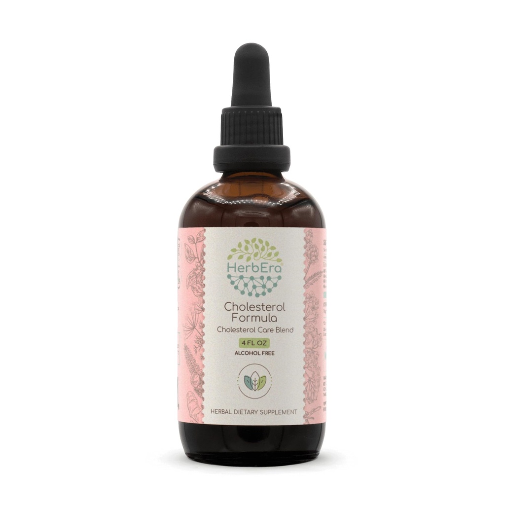 HerbEra Cholesterol Fórmula B120 Extracto libre de alcohol Hoja Artichoke, Hoja de Hawthorn y Flor, Semillas de Fennel, Root de Turmeric, Aswagandha Root, Amla Berry. Cholesterol Care Blend 4 Fl Oz