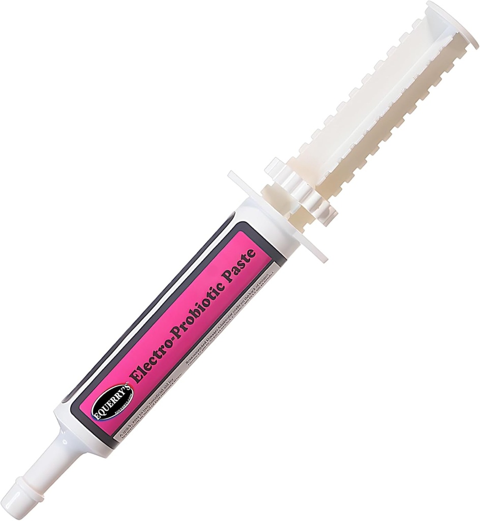 Pasta electroprobiótica de Equerry para Caballos - 30g ← Equine Probióticos " Electrolitos para Caballos Estresados TEN Easy Oral Syringe ← Made in USA