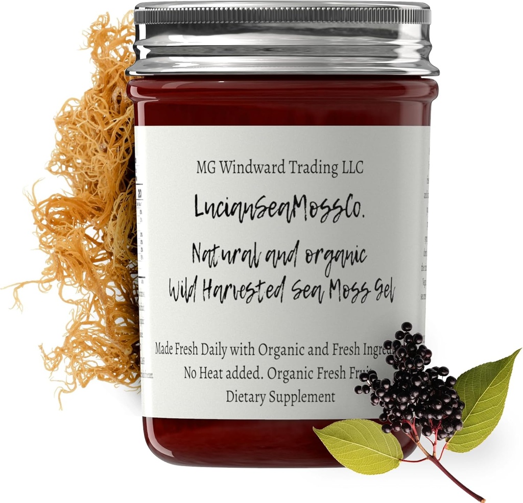 Dr. Sebi Inspired Alkaline Organic Fresh Elderberry Ginger Sea Moss Gel - Natural Essential Vitamins, Minerals Plus Antioxidantes Wild Harvested from Saint Lucia (8 oz.)