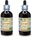 Lu Gen, Reed (Communis Phragmites) Tincture, Dried Root Liquid Extract (Marca: HerbalTerra, Proudly Made in USA) 2x4 fl.oz (2x120 ml)