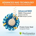 REVGENETICS Advanced NAD+ Supplement, 60 Capsules - Suplemento dietético para el envejecimiento saludable " Longevity