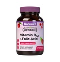BlueBonnet Nutrition Earth Sweet Vitamin B12 &amp; Folic Acid Chewable Tablets, Soy-Free, Gluten-Free, Raspberry 90 Count (Pack of 1)
