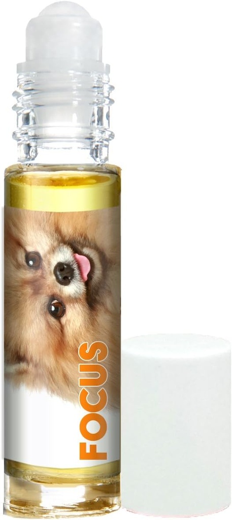 Aromaterapia para perros dulces para la concentración canina