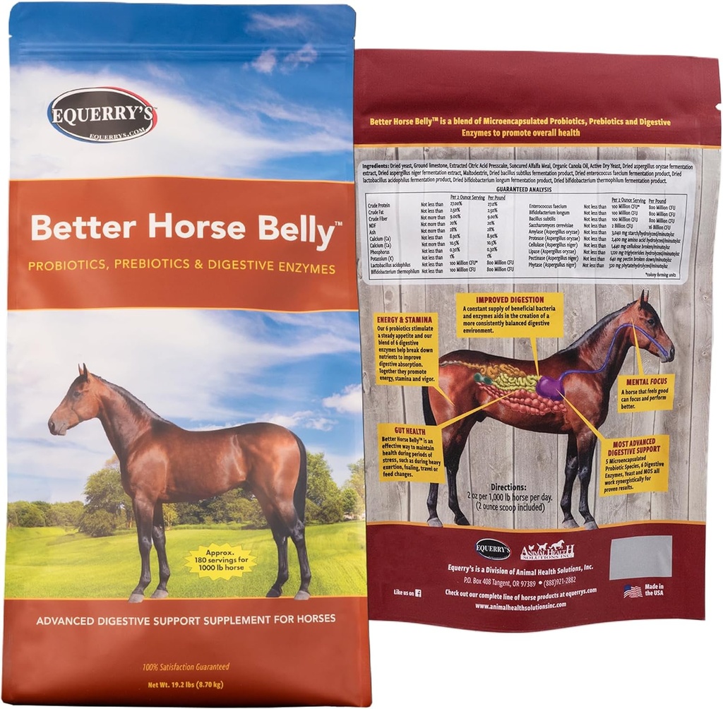 EQUERRY'S Better Horse Belly - Suplemento con Gut Support ← Probióticos con Prebióticos y Enzymes Digestivos  durable para Colic, Digestive Upset - 19.2 LB