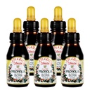 Distribuidor oficial - 5 botellas de Apiario Silvestre Brasileño Green Bee Propolis Liquid Glic Extract-Non Alcoholic, Wax Free, Sugar Free (PG)