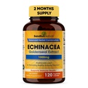 SANDHUHERBALS Sandhu Herbals Echinacea Goldenseal 1000 Mg 120 Capsules  Immune System Support Respiratory Response Suplemento