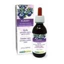 Naturalma Bilberry o Blueberry Europea (Vaccinium myrtillus) Fruta Alcohol-Free Tintura - 4 fl oz Líquido Extracto en gotas - Suplemento Herbal - Vegan