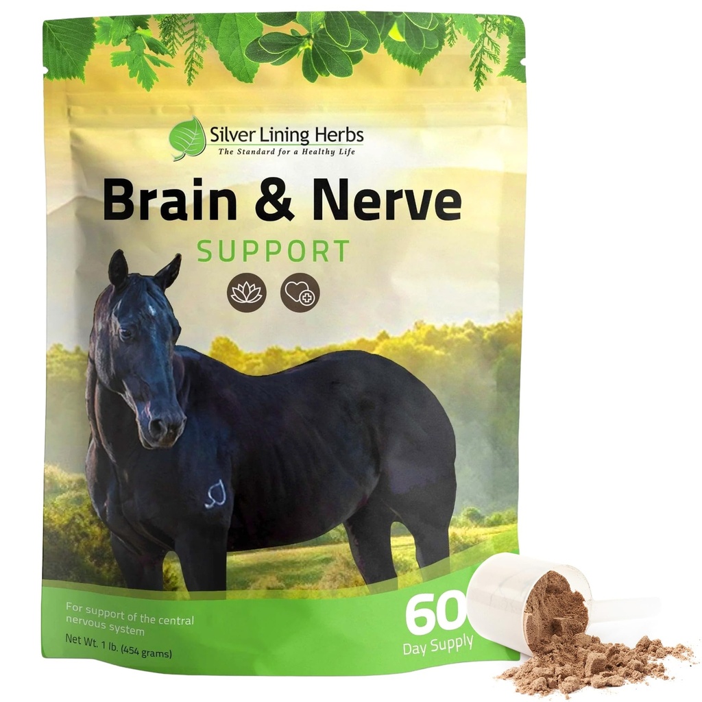 Herbs de Plata Cerebro &amp; Nerve Apoyo Suplemento para Caballos - Suplementos de Caballos para Focus, Salud Mental &amp; Brain Support - Contiene Herbal Blend de Ginkgo, Gotu Kola, &amp; Más - 1 lb 60-Day Supply