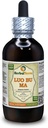 Luo Bu Ma, Dogbane (Apocynum Venetum) Tintura, Leaf seco Líquido Extracto (Marca Marca: HerbalTerra, Proudly Made in USA) 4 fl.oz (120 ml)