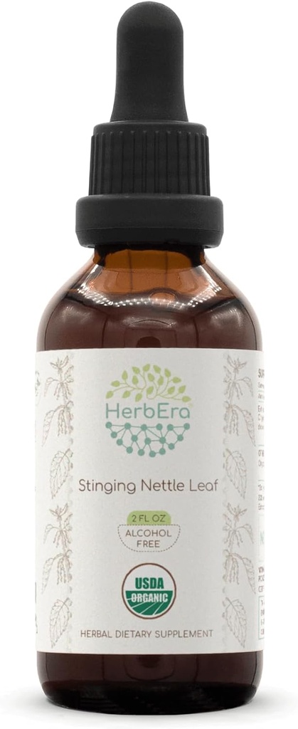HerbEra Stinginging Nettle Leaf B60 USDA Organic Tincture ← Alcohol-Free Extract, High-Potency Herbal Drops  Certified Organic Stinginginging Nettle (Urtica Dioica) Dried Leaf (2 oz)