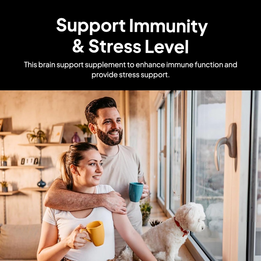 Doctor Morse's Brain &amp; Nervous Systems Support - Immunity & Stress Level - Naturopath Formulated Nootropic Supplement - Ginkgo Leaf, Gotu Kola, Astragalus Root & Butchers Broom - 90 Capsules
