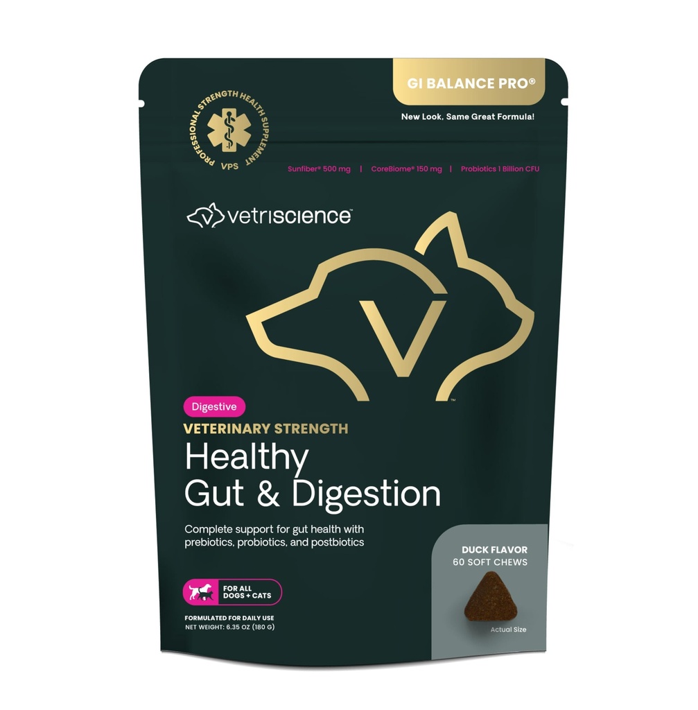 VetriScience Veterinary Strength Healthy Gut & Digestion - Pet Digestive Health Supplement for Cats & Dogs - Gut Health & Immune Support - Características Probióticos, Prebióticos & Postbióticos - 60 Cuenta