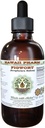 Extracto líquido libre de alcohol, Figwort orgánica (Scrophulara Nodosa) Herb seco Glycerite Hawaii Pharm Natural Herbal Suplemento 2 oz