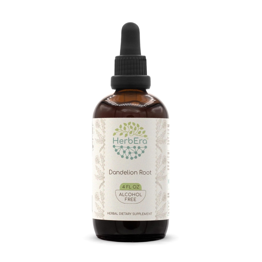 HerbEra Dandelion Root B120 Extracto herbario libre de alcohol Tintura, Dandelión súper concentrado (Taraxacum Officinale) Root seco (4 fl oz)