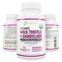 Max Absorption USDA Organic Milk Thistle Potent 5:1 Concentrated Extract (2000mg Strength) & Organic Dandelion Root ← Silymarin Antioxidant Flavonoid ← Liver Support Supplement (60 Count (Pack of 1))