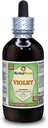 Violet (Viola Yedoensis) Extracto líquido libre de alcohol (Marca: HerbalTerra, Proudly Made in USA) 4 oz