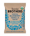 Bearded Brothers, Organic Vegan Protein Energy Bars, Blueberry Vanilla (12 Pack) - Gluten Free, Paleo, Fiber, Whole 30 ¦ Non GMO Low Glycemic Snacks