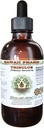 Tribulus Extracto líquido libre de alcohol, Tribulus (Tribulus Terrestris) Fruto seco Glicérite Natural Herbal Suplemento, Hawaii Pharm, USA 2 fl.oz