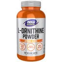 AHORA Foods Sports Nutrition, L- Ornithine Powder, Protein Metabolism* y Urea Detox*, Amino Acids, 8-Ounce
