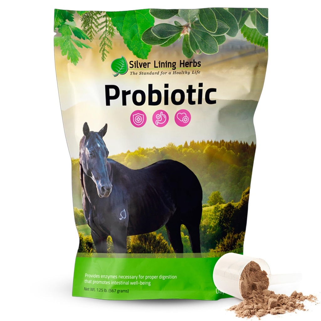 Herbs de Plata Herbs Horse Probiotics Suplementos Digestivos - Enzyme Digestive & Gut Health Probiotic Supplement for Horses - Contiene 13.2 Billion CFUs Probiotic Strains - 1.25 lb 60-Day Supply