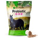 Herbs de Plata Herbs Horse Probiotics Suplementos Digestivos - Enzyme Digestive & Gut Health Probiotic Supplement for Horses - Contiene 13.2 Billion CFUs Probiotic Strains - 1.25 lb 60-Day Supply
