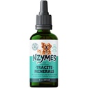 Nzymes® Tracite Minerals for Pets - Ácido Fulvico, Ácido Humic y Trace Mineral de Hierro-Basado y Aminoácidos para Energía ATP, y Salud Digestiva - Hecho en EE.UU.