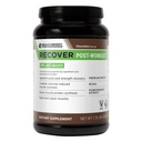 BODi Recover Plant-Based Protein Powder Blend- Post-Workout Chocolate Plant-Based Suplemento para la recuperación muscular con 20g Protein, BCAAs, Pomegranate Extract - Fast Recovery - 20 Serving Tub