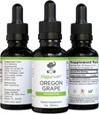 Premium Orgánica Oregon Grape Root Tintura - Extracto sin alcohol, 1oz  durable Herbal Support ← Ziggy Health