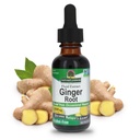 Respuesta de la naturaleza Ginger Root Alcohol Gratuito Extracto 1 onza ← Apoyo Stomach Función ← Vegan ← Vegetarian ← Non-GMO TEN Gluten Free