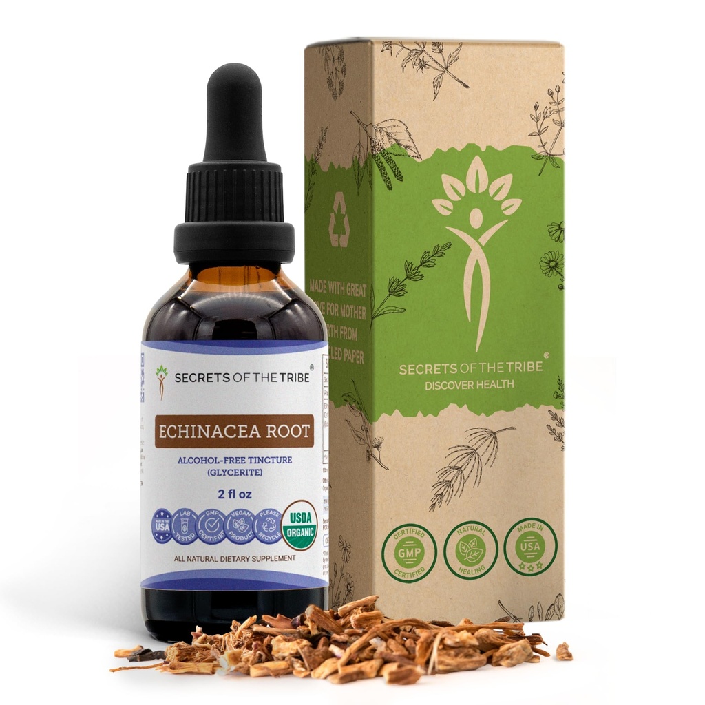 Echinacea Root USDA Organic Tincture ← Extracto libre de alcohol, gotas herbales de alta potencia, sistema inmunológico Salud Silencioso Hecho de 100% Certificado Echinacea Root (Echinacea Purpurea) 2 oz