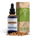 Echinacea Root USDA Organic Tincture ← Extracto libre de alcohol, gotas herbales de alta potencia, sistema inmunológico Salud Silencioso Hecho de 100% Certificado Echinacea Root (Echinacea Purpurea) 2 oz