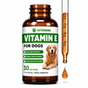 Vitamina E para Perros TENIDO Vitamina E Perro TENIDO Vitamina E para Perro TENIDO Vitaminas para Perros E TENIDO Vitamina E Suplemento para Perros TENIDO Vitamina E Petróleo Perro Vitaminas para Perros