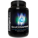 Intelligent Labs Glucosamine and Chondroitin High Strength Complex with MSM Silencio 180 Capsules ← Immune System Support  with Turmeric, Boswellia, and Quercetin Joint Care Supplements